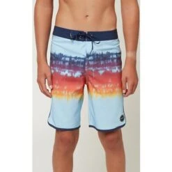 ONeill O'Neill Hyperfreak Daydream Boardshorts Boys'