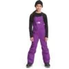 The North Face Freedom Insulated Snow Bibs Kids' 2 The North Face Freedom Insulated Snow Bibs Kids' -Bob's Sports Chalet 103550 GRAVITY PURPLE m