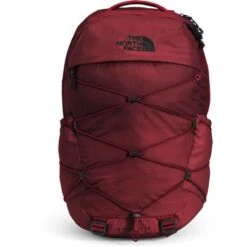 The North Face Borealis Backpack -Bob's Sports Chalet 103632 CORDOVANTNF BLACK m