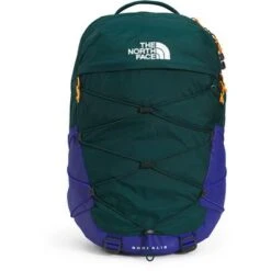 The North Face Borealis Backpack -Bob's Sports Chalet 103632 PNDRSAGNLPSBLCN OR m