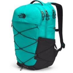 The North Face Borealis Backpack -Bob's Sports Chalet 103632 PORCELAIN GNTNF BK m