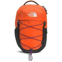 The North Face Borealis Mini Backpack -Bob's Sports Chalet 103642 RDORNGGRVTYPPL m