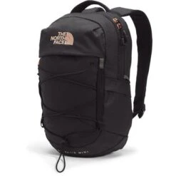 The North Face Borealis Mini Backpack -Bob's Sports Chalet 103642 TNFBHRBRTCRLMT m