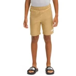 The North Face On Mountain Shorts Boys'