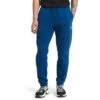 The North Face TNF Leg Graphic Sweatpants 1 The North Face TNF Leg Graphic Sweatpants -Bob's Sports Chalet 103719 LIMOGES BLUE m