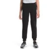 The North Face Camp Fleece Jogger Pants Boys' -Bob's Sports Chalet 103746 TNF BLACK m