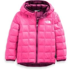 The North Face ThermoBall Eco Insulated Hoodie Toddlers'