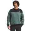 The North Face Highrail Crewneck Sweatshirt Men's -Bob's Sports Chalet 103832 BALSAM GREEN m