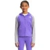 The North Face Winter Warm Full-Zip Hoodie Girls' -Bob's Sports Chalet 103852 SWEET VIOLET m