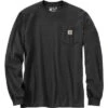 Carhartt Relaxed Fit Heavyweight Longsleeve Mountain Graphic T-Shirt Men's