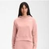 The North Face Simple Logo Hoodie Women's -Bob's Sports Chalet 105454 EVENING SAND PINK m