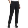 The North Face Simple Logo Jogger Pants Women's -Bob's Sports Chalet 105455 TNF BLACK m