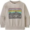 Patagonia Baby Lightweight Crew Sweatshirt -Bob's Sports Chalet 105611 FITZ RY SKIESPUMICE m