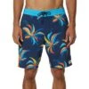 Oneill Grove Flow Cruzer 19 Inch Boardshorts Men's -Bob's Sports Chalet 105838 NAVY m