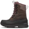 The North Face Chilkat V 400 Waterproof Insulated Winter Boots Women's