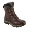 The North Face Chilkat Leather Insulated Tall Boot Men's -Bob's Sports Chalet 10928 DEMITASSE BRNCUBBRN m