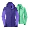 The North Face Boundary Triclimate Jacket Women's -Bob's Sports Chalet 11159 GRNTPRPSTRYPRPSFGN m
