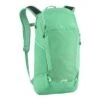 The North Face Pinyon Backpack Women's 1 The North Face Pinyon Backpack Women's -Bob's Sports Chalet 2785 BLRDGRNCOCKATOO GRN m