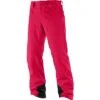 Salomon Icemania Pant Men's
