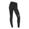The North Face Vision Mesh High Rise Tight Women's -Bob's Sports Chalet 36310 TNF BLACK m