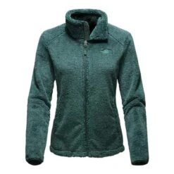 The North Face Osito 2 Jacket Women's -Bob's Sports Chalet 7279 BALSAM GREEN STRIPE m