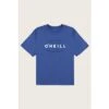 ONeill O'Neill Dug Tee Boys'