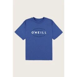 ONeill O'Neill Dug Tee Boys'