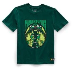 The North Face Graphic Short Sleeve Tee Boys' -Bob's Sports Chalet 91602 BOTANCLGARDNGRN m
