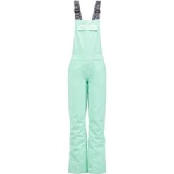 Spyder The Terrain GTX Bib Pants Women's