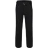 Dare2B Fleeted Ski Pant Men's
