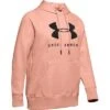 Under Armour Rival Fleece Sportstyle Graphic Hoodie Women's -Bob's Sports Chalet 95589 CALLAMDHRCALAJT GR m