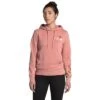 The North Face Himalayan Bottle Source Hoodie Women's -Bob's Sports Chalet 96603 PINK CLAY m
